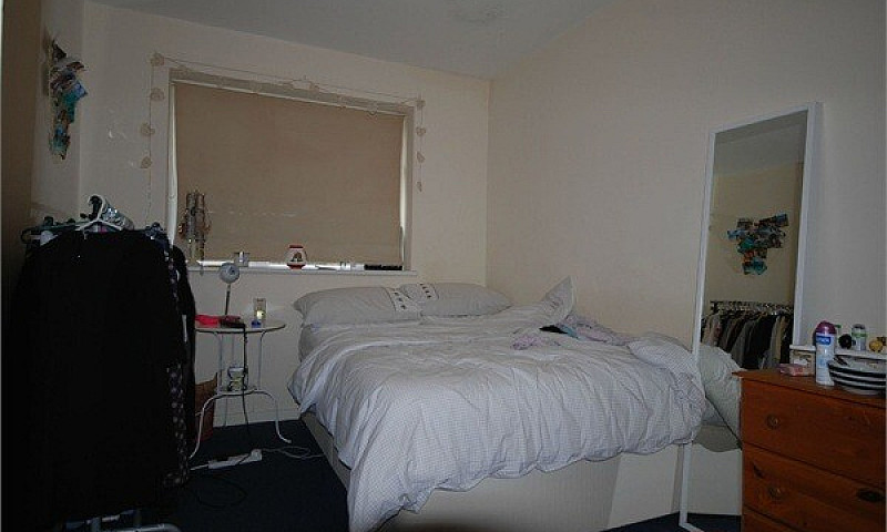 Newly Renovated 2 Be...