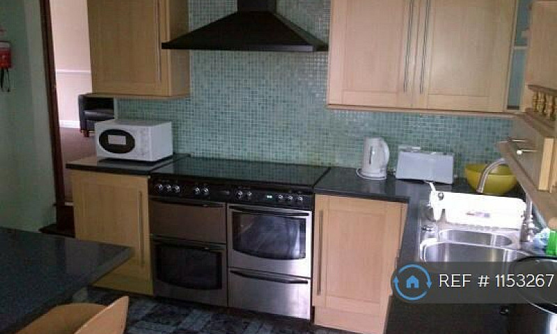 1 Bedroom In Co-Oper...