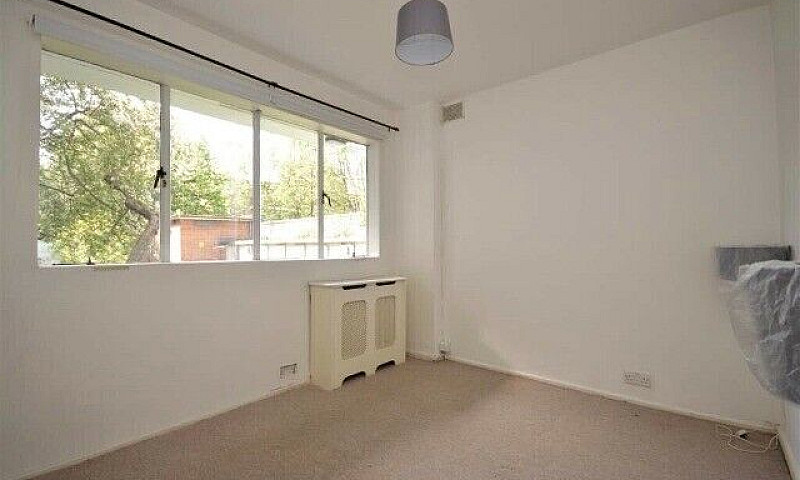 Stunning 1 Bedroom F...