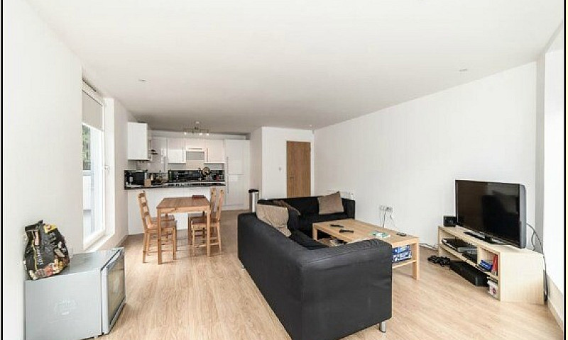 Stunning, Modern 2 B...