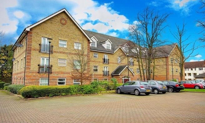 15Wc- Modern 2-Bed/2...