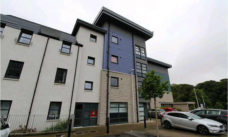 2 Bed Flat For Rent ...