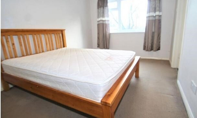 Stunning 2 Bedroom F...