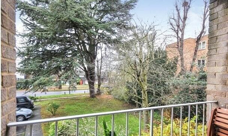 Stunning 2 Bedroom F...