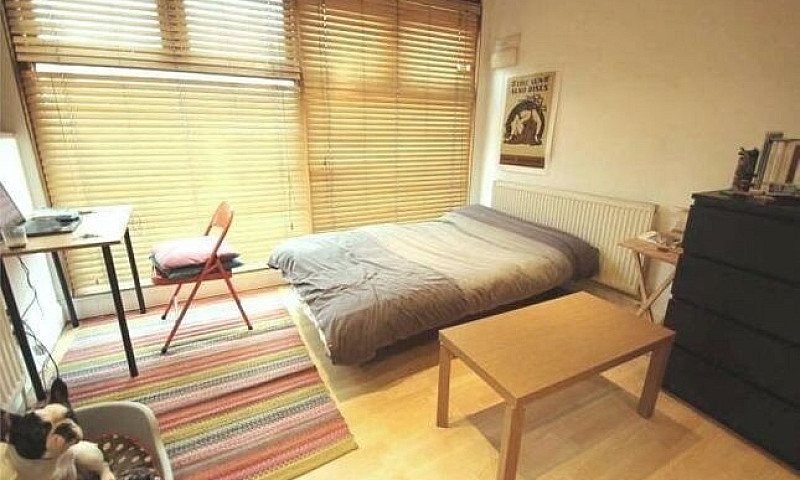 Studio/Spacious/Wood...
