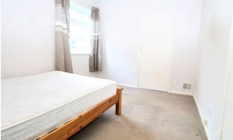 Stunning 2 Bedroom F...