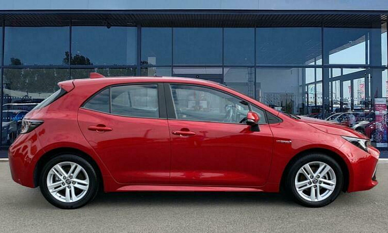 2019 Toyota Corolla ...