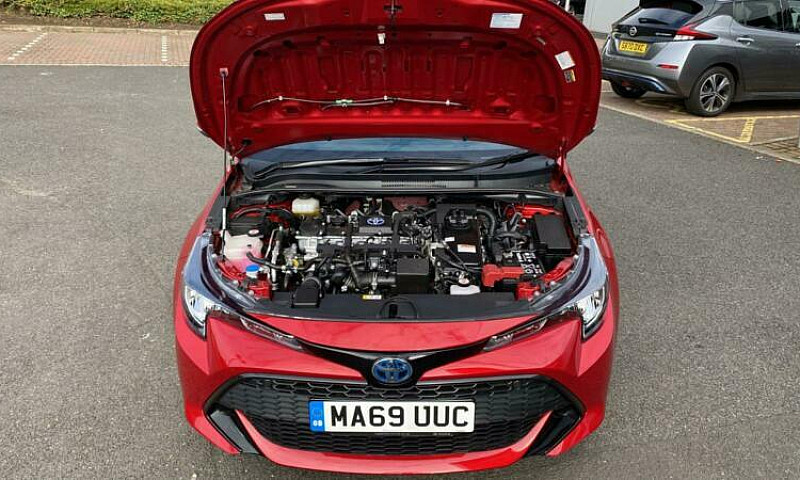 2019 Toyota Corolla ...