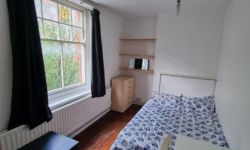 Spacious Newly Decor...