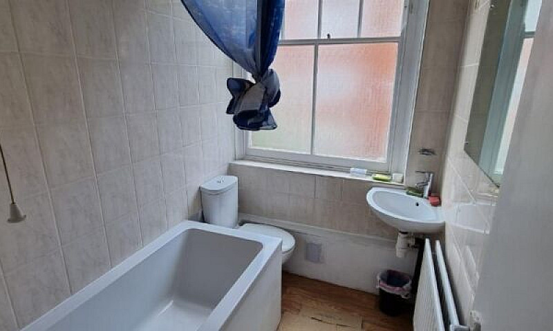Spacious Newly Decor...