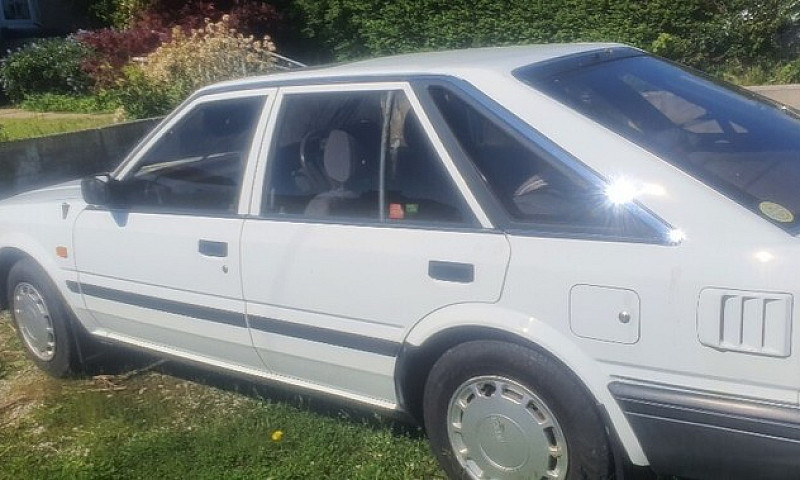 Nissan, Bluebird, Ha...