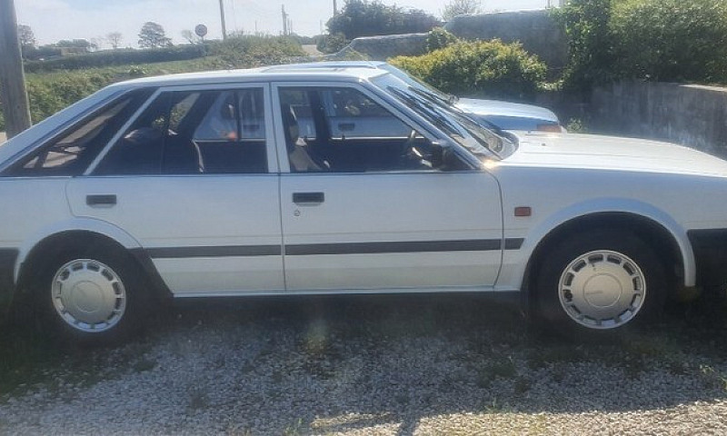 Nissan, Bluebird, Ha...