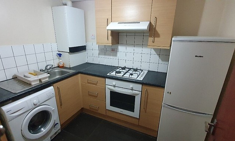 Modern 1 Bedroom Fla...