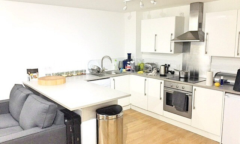 Luxury Studio Apartm...