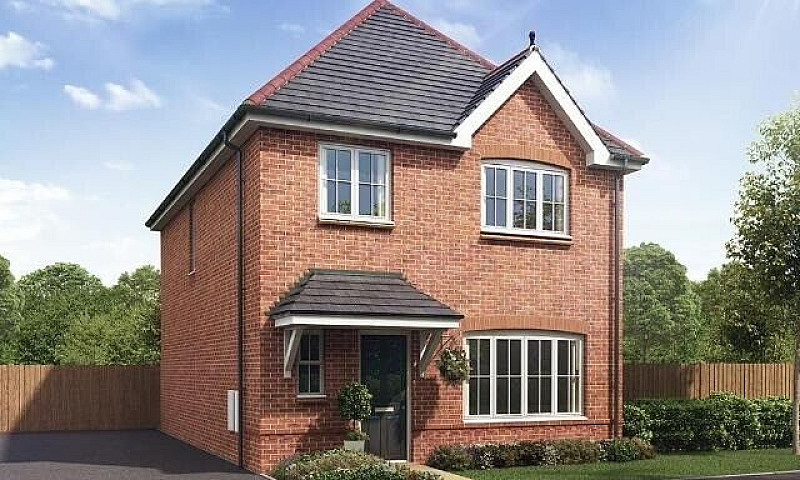 Need House To Rent!...