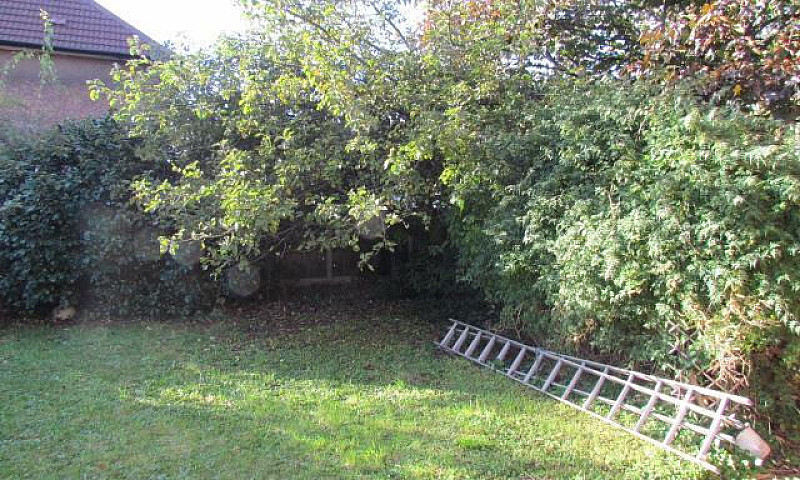 3 Bedroom Semi-Detac...