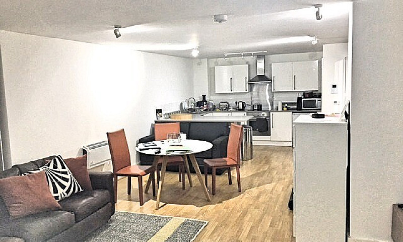 Luxury Studio Apartm...