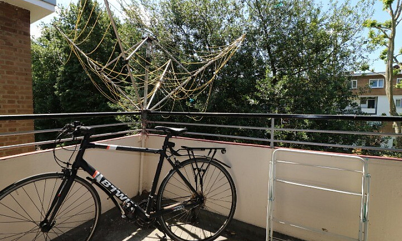 Three Bedroom Apartm...