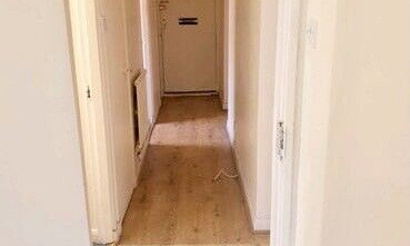 Rent Double Rooms Ju...