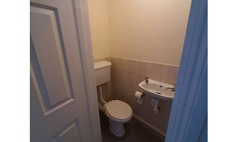 *Move In Quick* En-S...