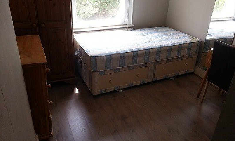 Semi-Studio To Rent ...