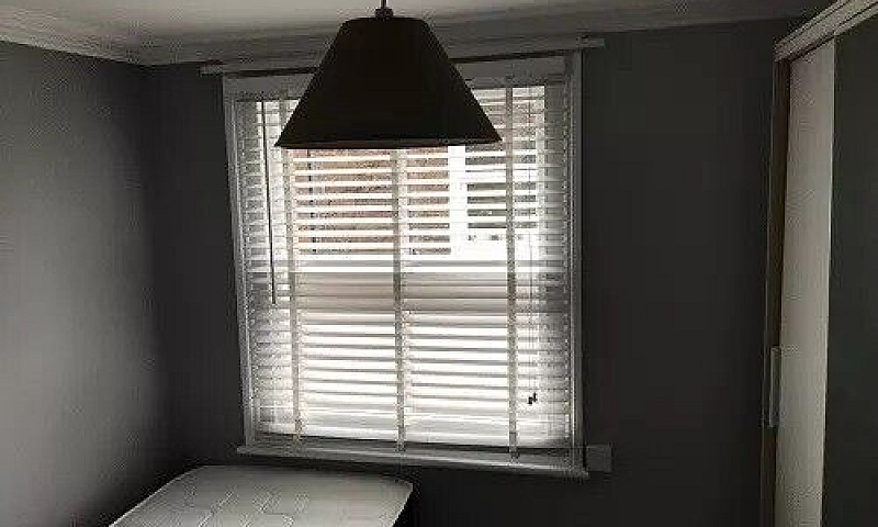 Single Flat To Rent ...
