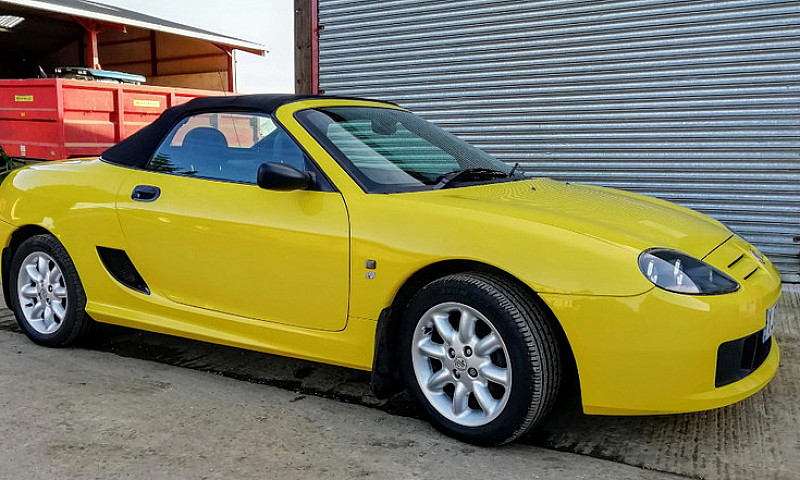 Mg Tf Trophy Yellow ...