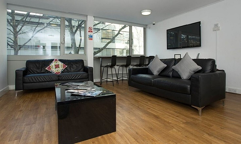 Student Rooms To Ren...