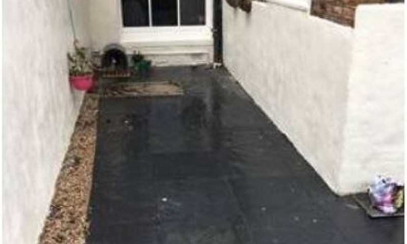 'Garden Double Studi...