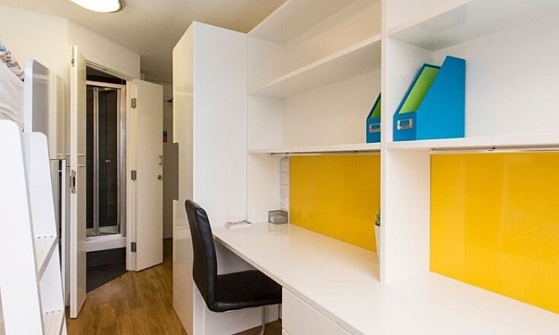 Student Rooms To Ren...