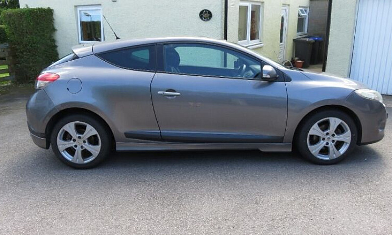 12Months Mot, New Ty...