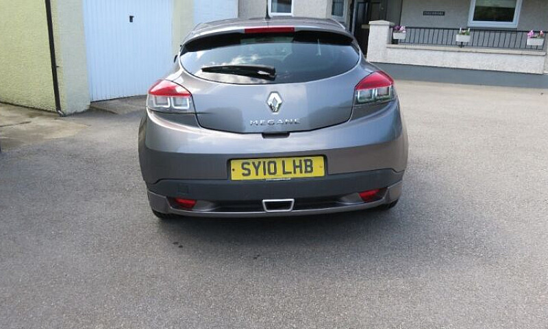 12Months Mot, New Ty...
