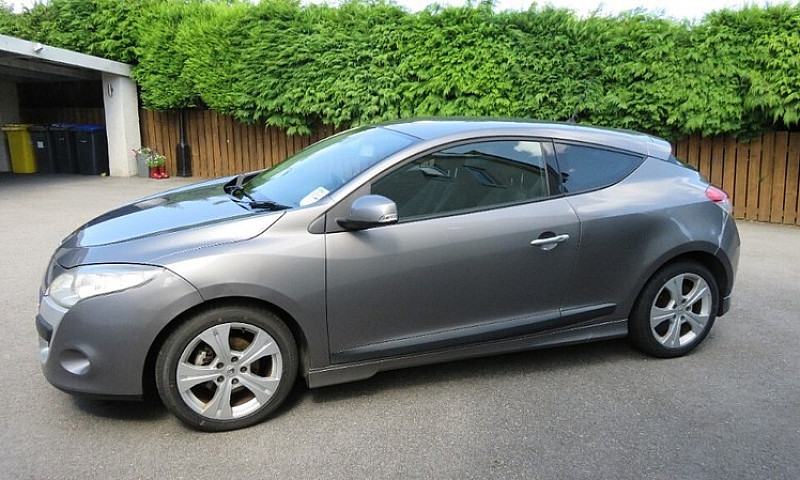 12Months Mot, New Ty...