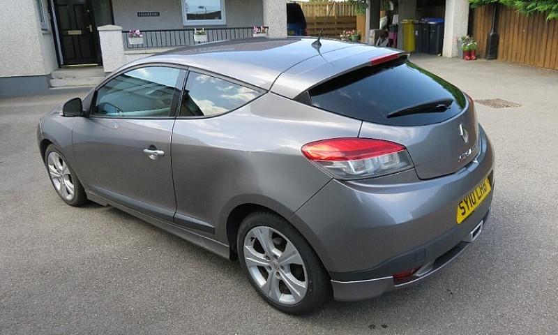12Months Mot, New Ty...