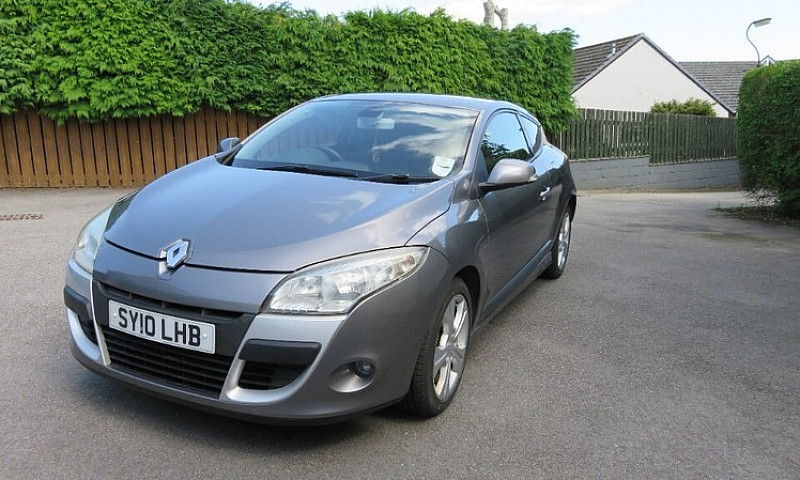 12Months Mot, New Ty...