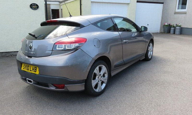 12Months Mot, New Ty...