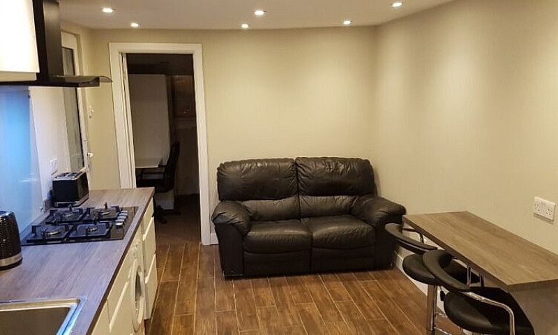 1 Bedroom Luxury Stu...