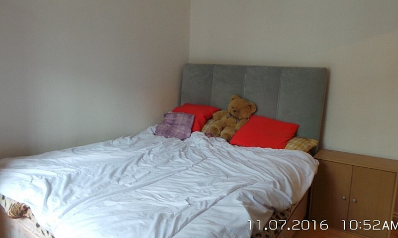 Newly Renovated Two ...