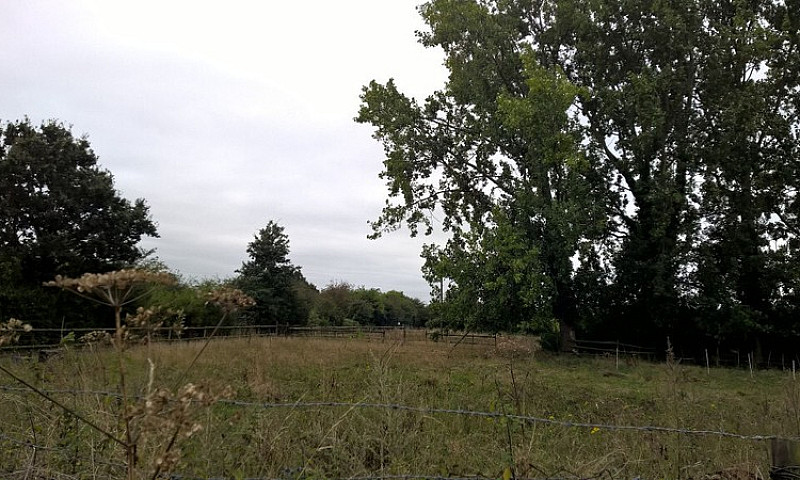 Land Plot For Sale 1...