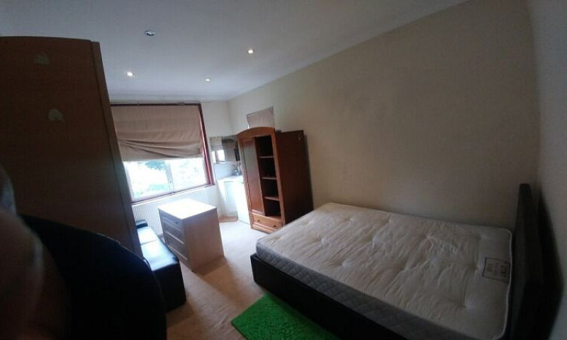 Large Double Room In...