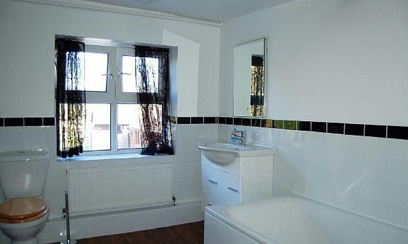Perfect Room For Pro...
