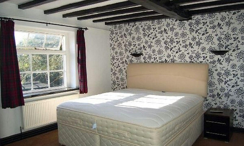 Perfect Room For Pro...
