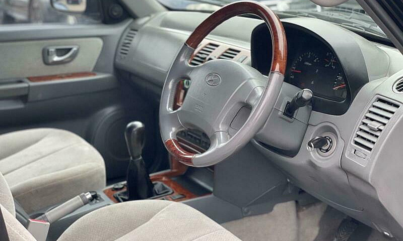 2005 Hyundai Terraca...