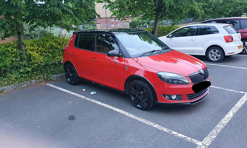 Skoda Fabia Monte Ca...