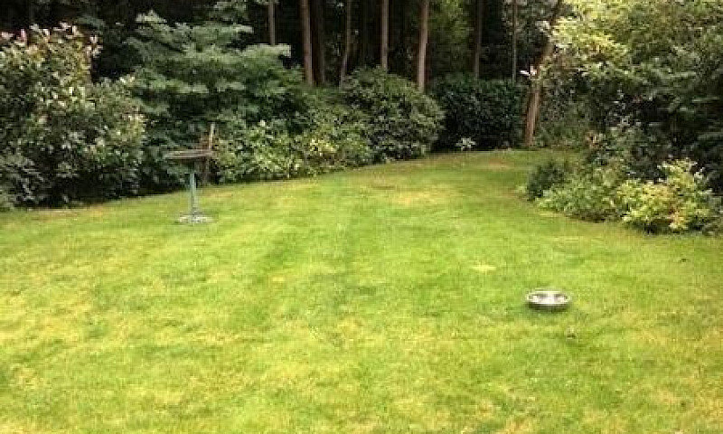 1 Bedroom Flat In Lu...