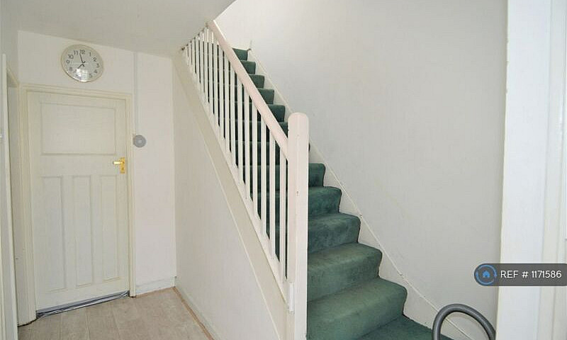 1 Bedroom In Orchard...