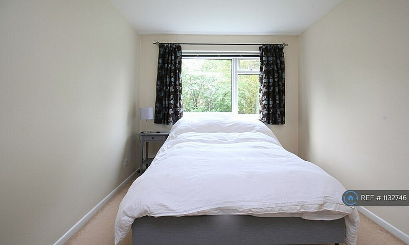 1 Bedroom Flat In Co...