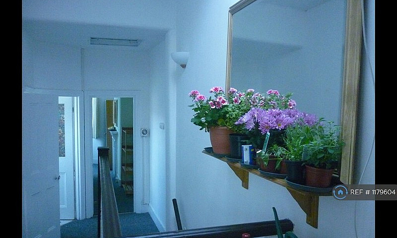 1 Bedroom In Crossfi...