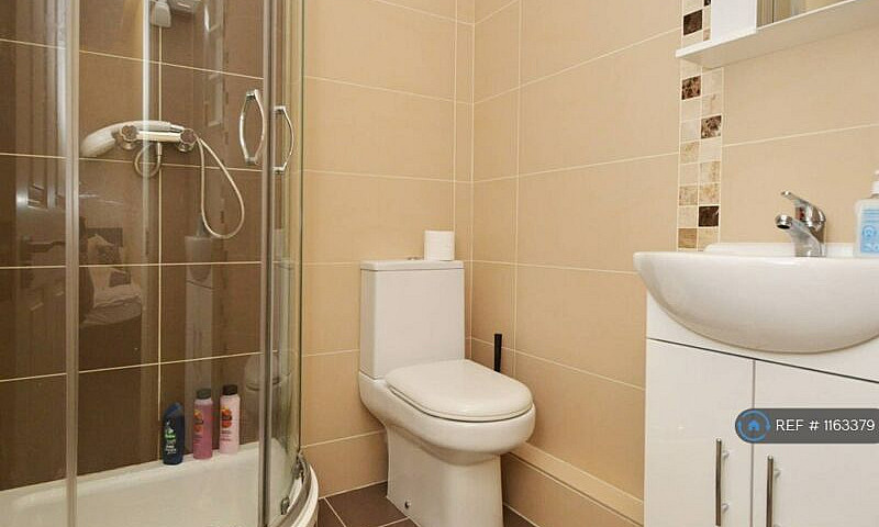 Studio Flat In Curta...