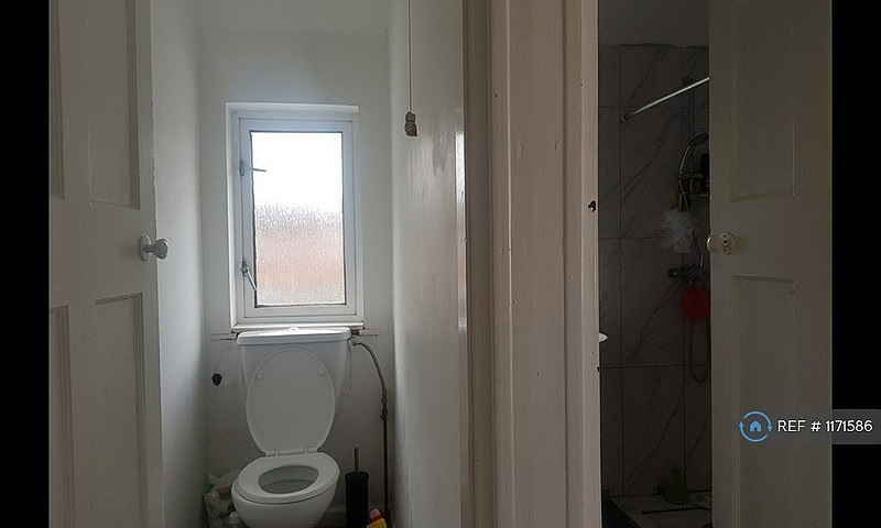 1 Bedroom In Orchard...